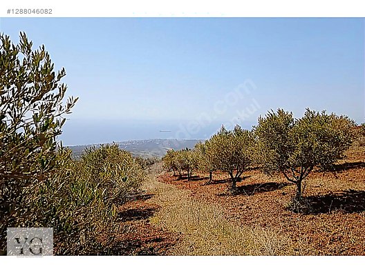 Satılık Arsa İlanları