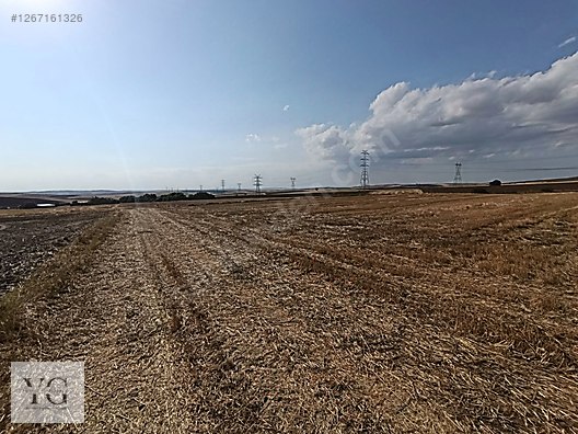 Satılık Arsa İlanları