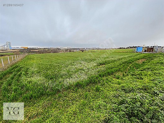 Tekirdağ Satılık Arsa