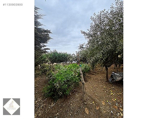 Satılık Arsa İlanları