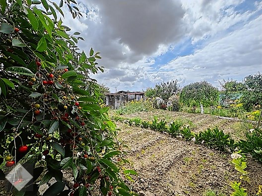 Satılık Arsa İlanları
